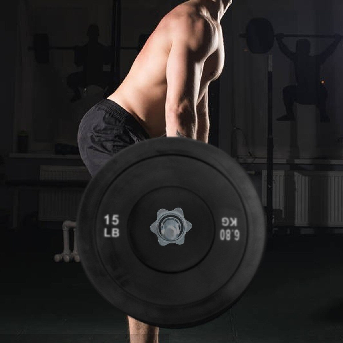 Olympic Weight Plates 15LB Plates Standard 2" Exercise Weights Weightlifting and Bodybuilding, Solid Iron Weight Plates - Clear