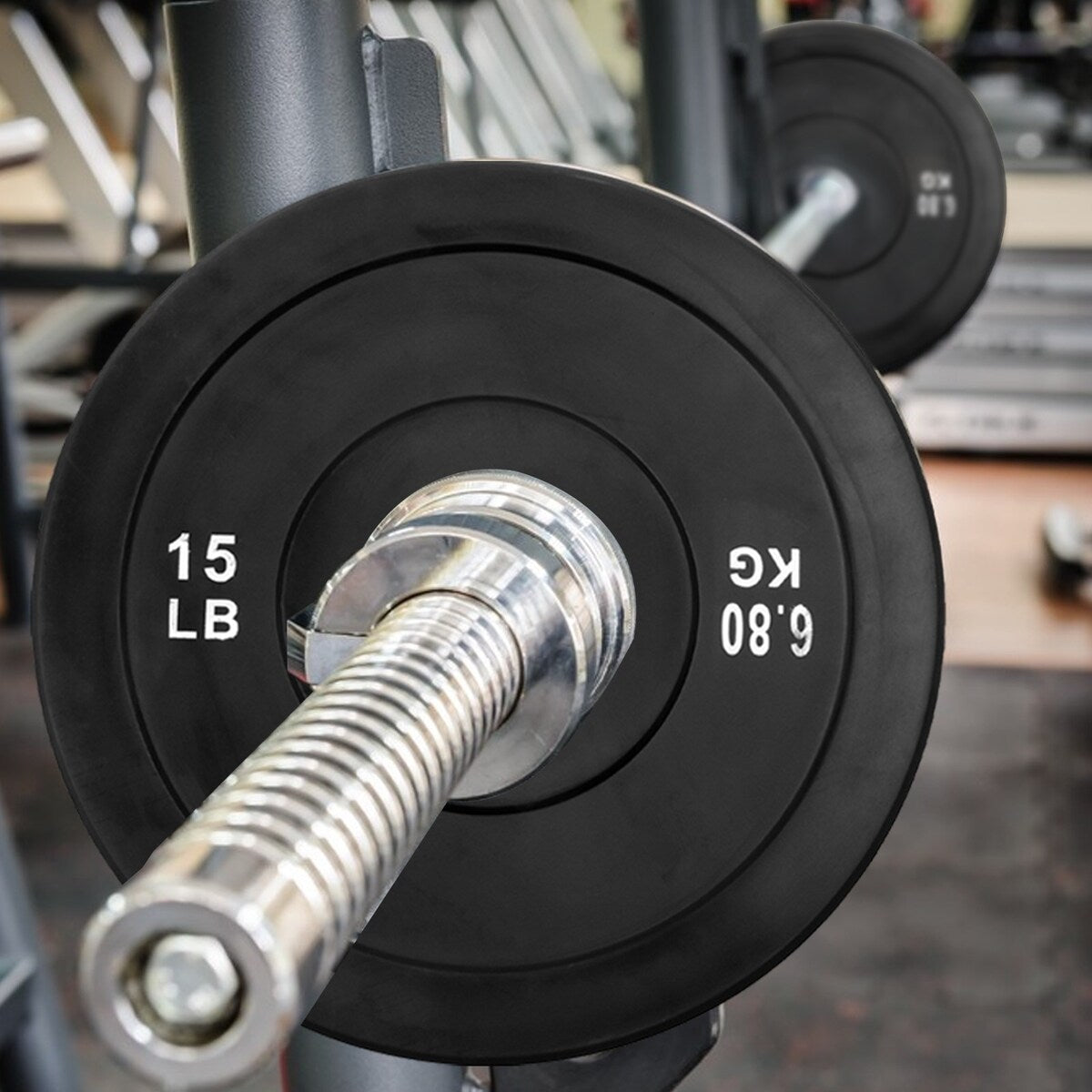 Olympic Weight Plates 15LB Plates Standard 2" Exercise Weights Weightlifting and Bodybuilding, Solid Iron Weight Plates - Clear