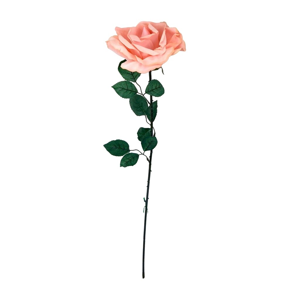 One dozen extra long jumbo velvet open roses