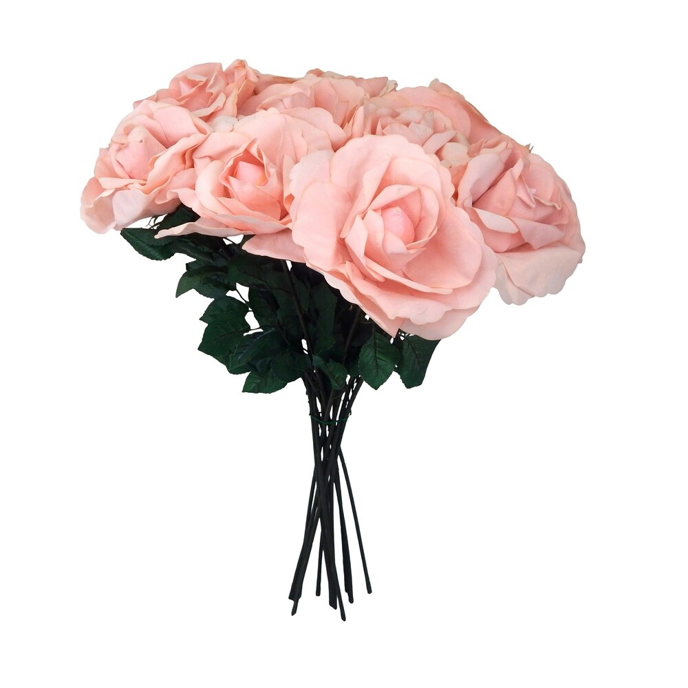 One dozen extra long jumbo velvet open roses