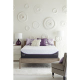 Optimum by Sealy Posturepedic Inspiration Gold Plush Queen-size Mattress Set