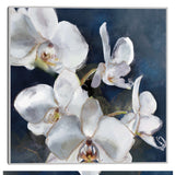 Orchid on Navy By Studio Arts Canvas Art Print