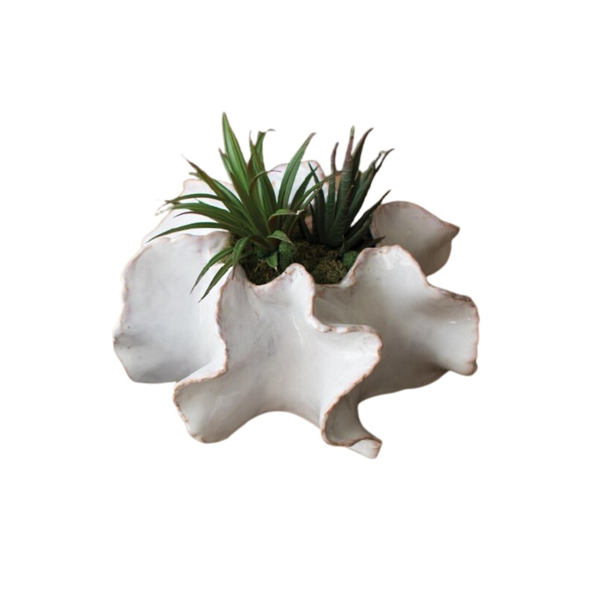 Organic Ceramic Planters Set of Two - Exact Size