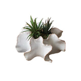 Organic Ceramic Planters Set of Two - Exact Size