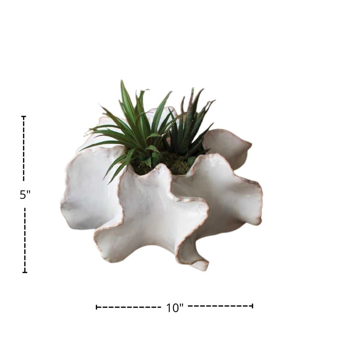Organic Ceramic Planters Set of Two - Exact Size