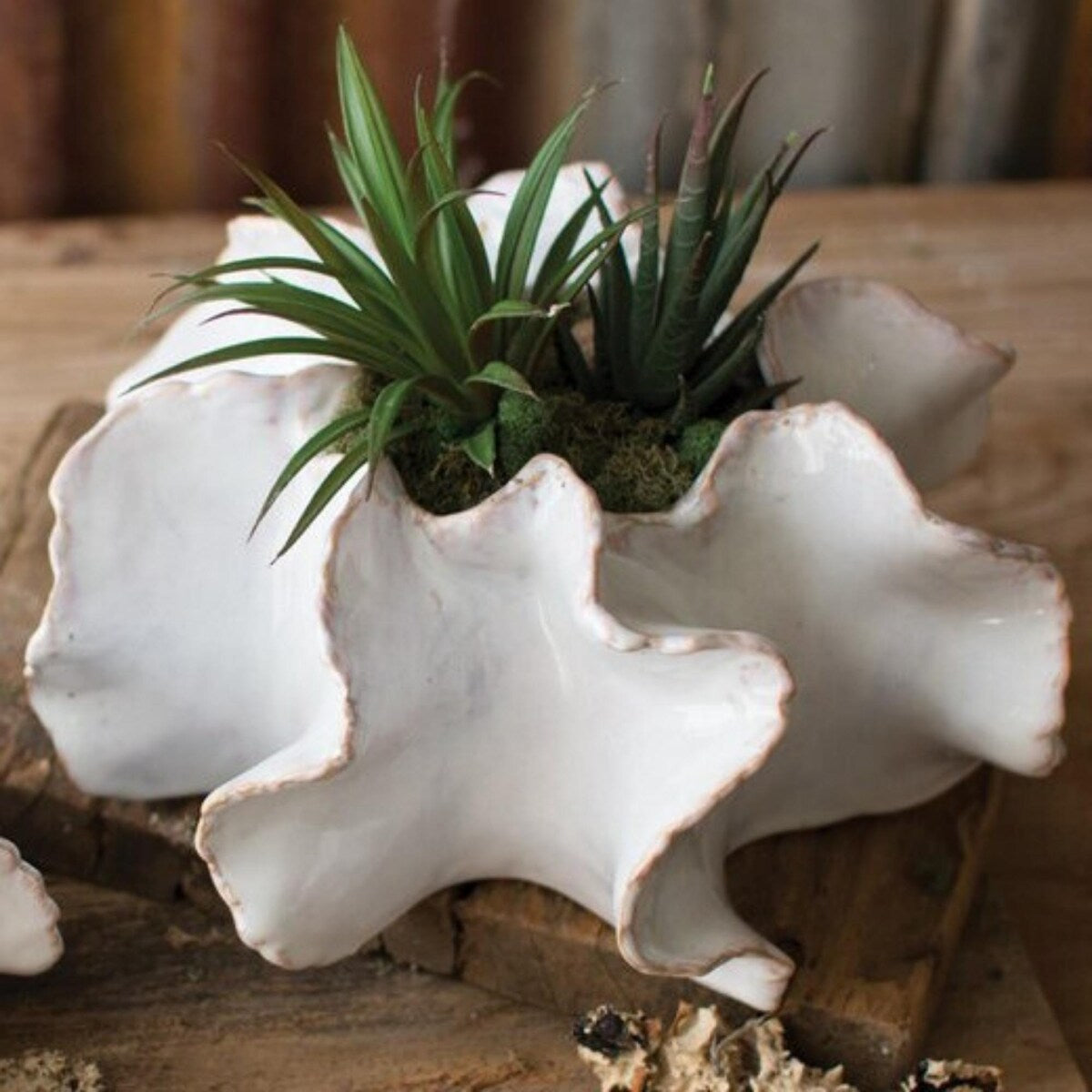 Organic Ceramic Planters Set of Two - Exact Size