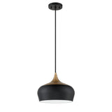 Orian 1-Light Black and Brass Pendant