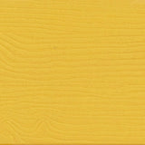 Outdoor All-Weather Poly Resin Wood Adirondack Chair