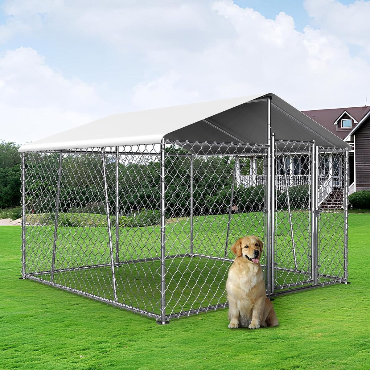 Outdoor Dog Kennel with Roof, Heavy Duty Chain Link Dog Kennel with Lock