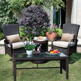 Outdoor Patio Furniture 1 Coffee Table with Clear Tempered Glass