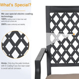 MAISON ARTS Outdoor Patio Swivel Dining Chairs (Set of 2) with Feathers of E-coating and Weather-resistance