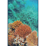 Outdoor Trisha Collection Area Rug