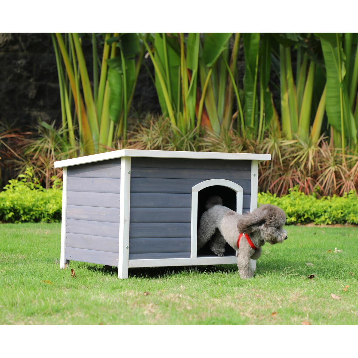 Outdoor Wooden Dog House with Hinges
