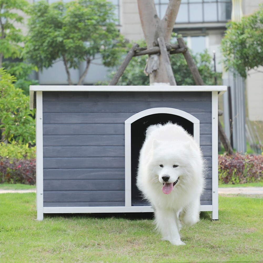 Outdoor Wooden Dog House with Hinges