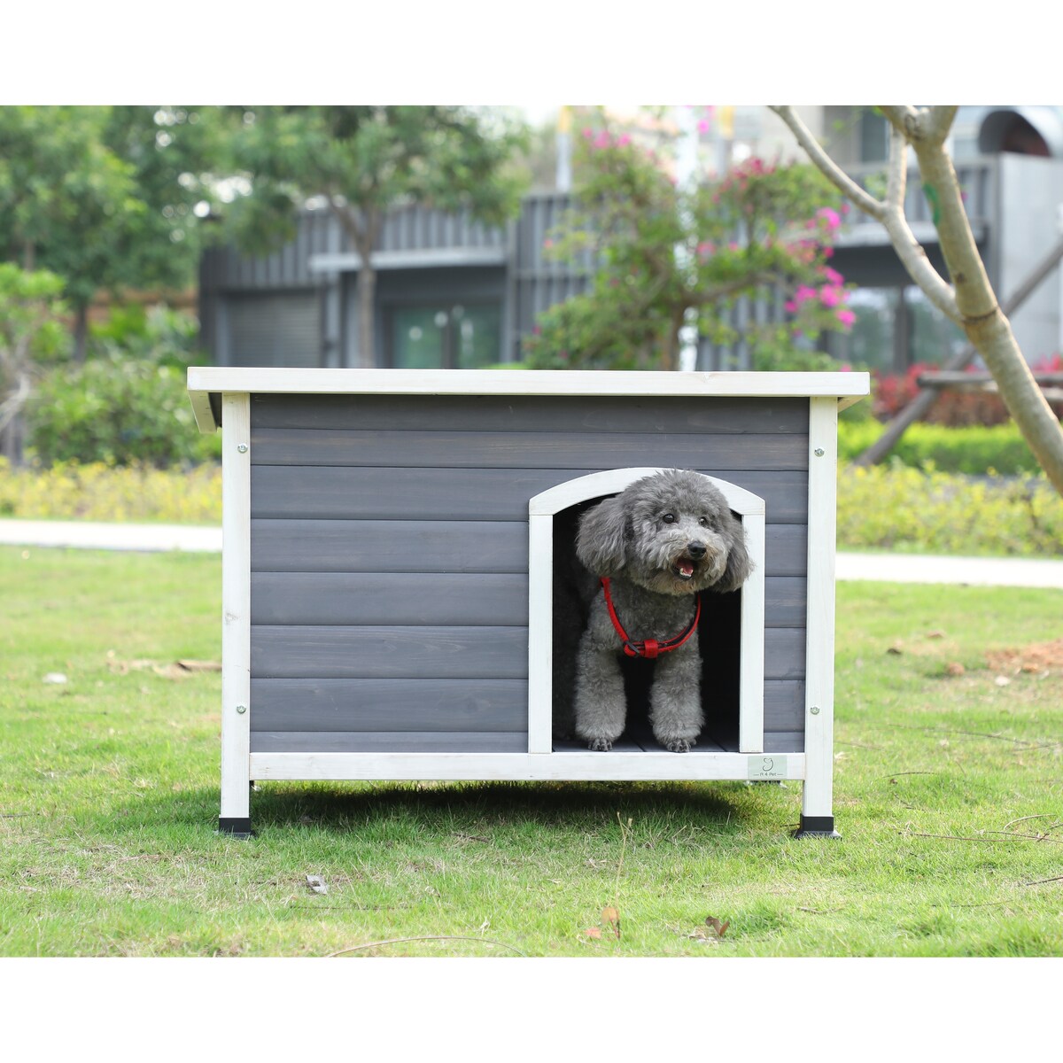 Outdoor Wooden Dog House with Hinges