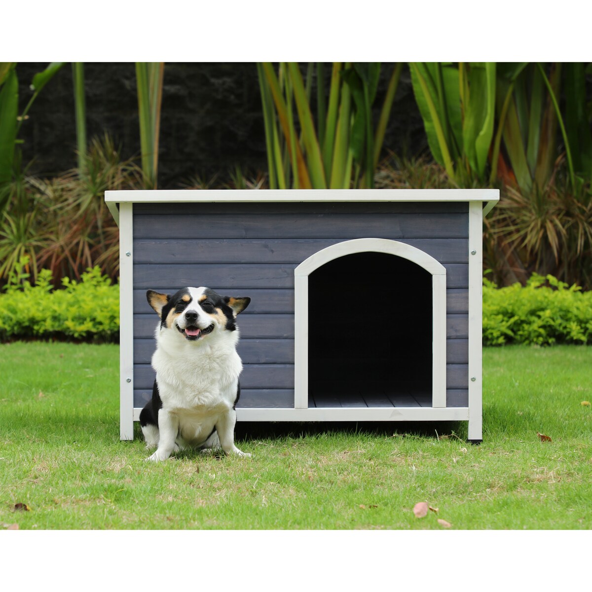 Outdoor Wooden Dog House with Hinges