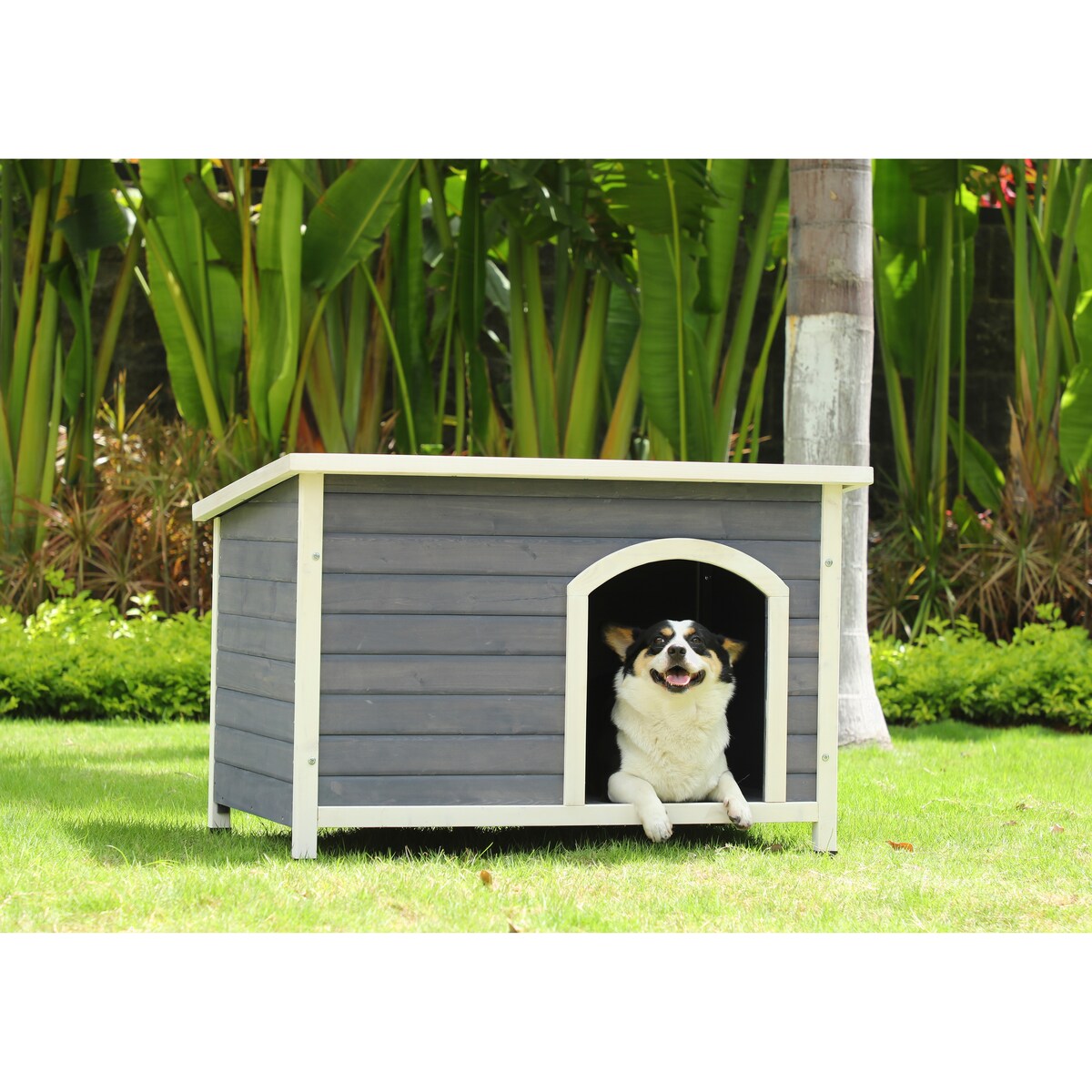 Outdoor Wooden Dog House with Hinges