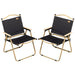 2 Pack Folding Camping Chair, Lightweight & Portable Beach Chairs Armchairs, for Festivals, Picnic and Hiking