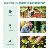 Outsunny 20' x 10' x 9' Walk-In Greenhouse, Outdoor Gardening Canopy with 6 Roll-up Windows