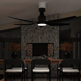 Oversized Lighting Fan 66-Inch Blade Span with Adjustable Light