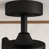 Oversized Lighting Fan 66-Inch Blade Span with Adjustable Light