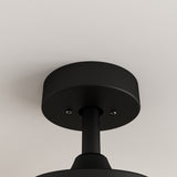 Oversized Lighting Fan 66-Inch Blade Span with Adjustable Light