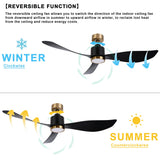 OVIOS Elegant 52-inch 2-in-1 Ceiling Fan Light with Remote Control