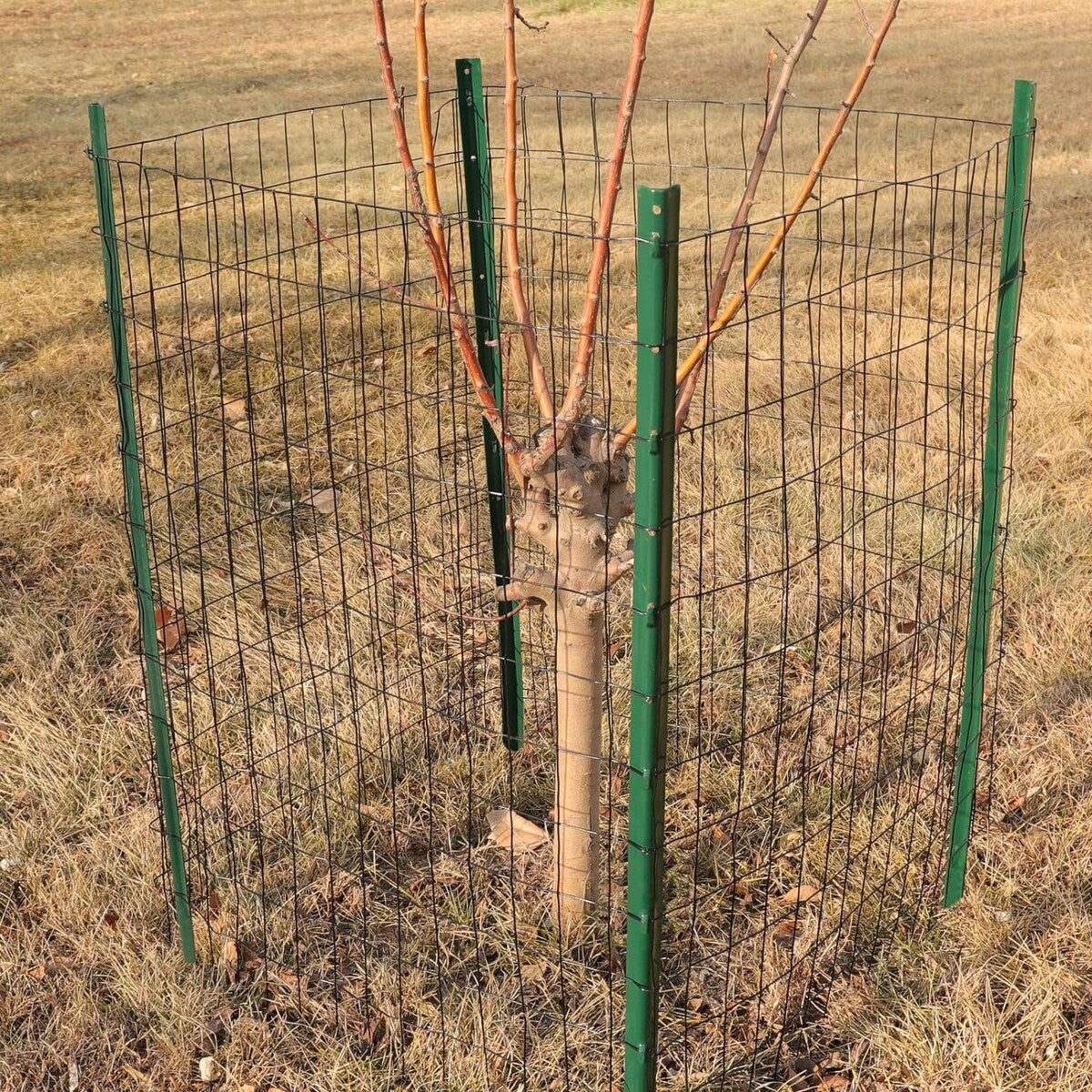 PVC Coated Welded Wire Fence,Garden Border Fencing Metal Wire Mesh for Yard Vegetable Plant Protection Poultry Netting