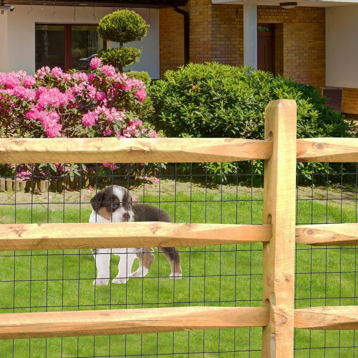 PVC Coated Welded Wire Fence,Garden Border Fencing Metal Wire Mesh for Yard Vegetable Plant Protection Poultry Netting