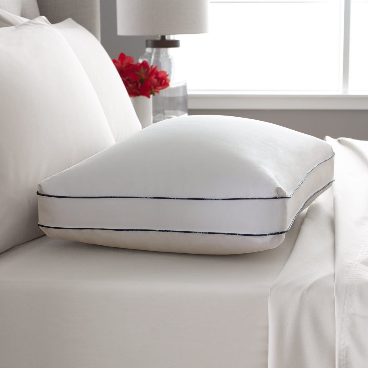 Pacific Coast Feather Organic Cotton SuperLoft Down Pillow