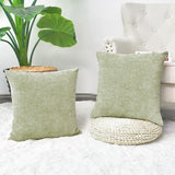 Pack of 2 Cozy Throw Pillow Covers Cases for Sofa Home Decoration