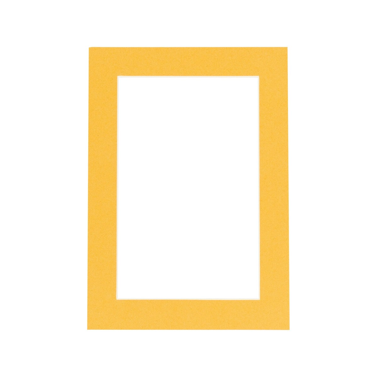 Pack of TEN 12x16 Mats Bevel Cut for 8x12 Photos - Acid Free Topaz Orange Precut Matboards For Pictures, Photos, Framing
