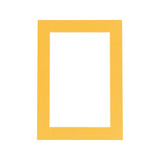 Pack of TEN 12x16 Mats Bevel Cut for 8x12 Photos - Acid Free Topaz Orange Precut Matboards For Pictures, Photos, Framing
