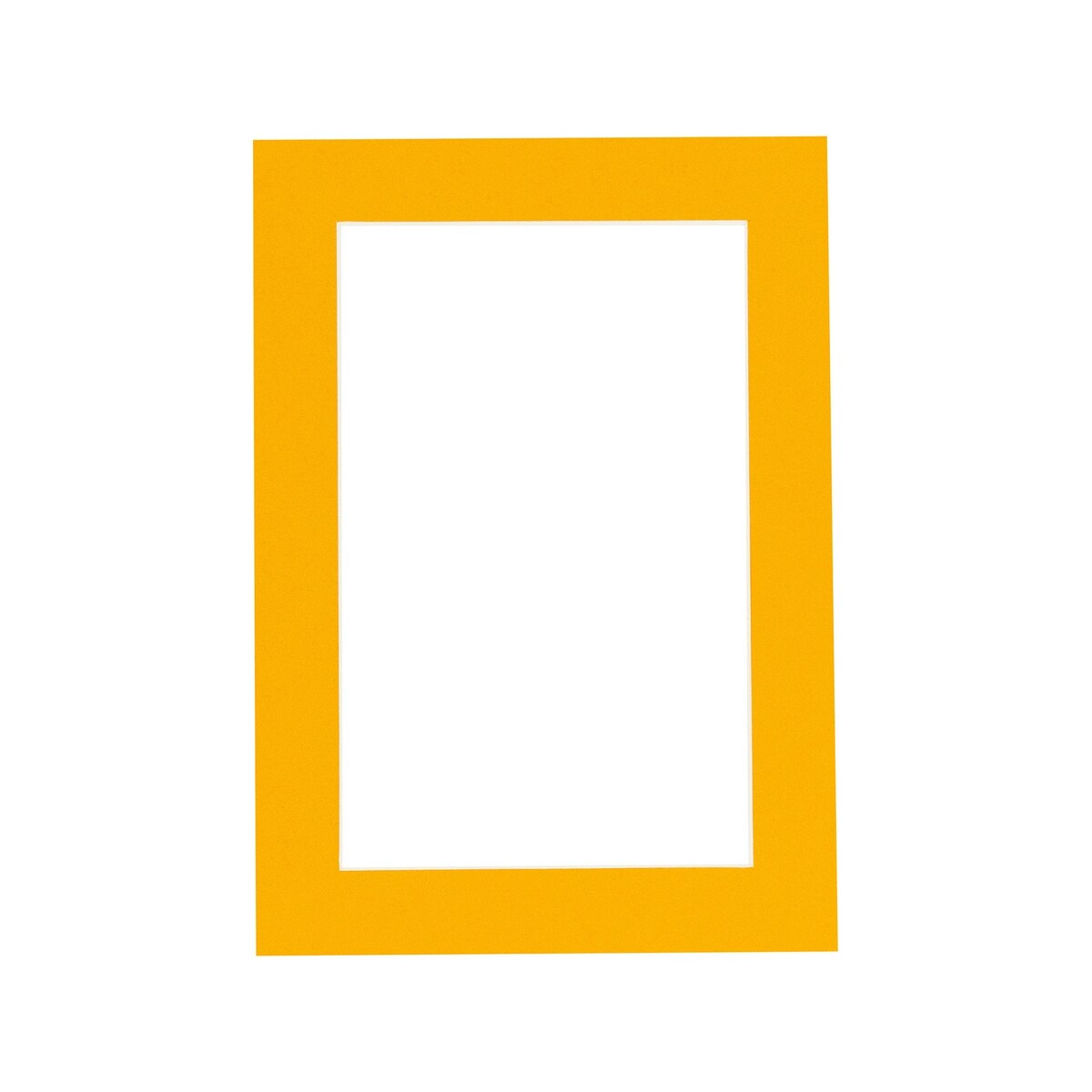 Pack of TEN 15x30 Mats Bevel Cut for 10x24 Photos - Acid Free Golden Orange Precut Matboards For Pictures, Photos, Framing