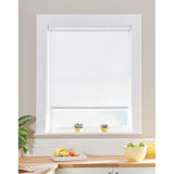Palm Light Filtering Roller Shade