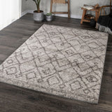 Palmetto Living Casablanca Wiyot Silverton Area Rug