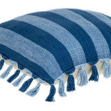 Parkland Collection River Transitional Blue Throw Pillow