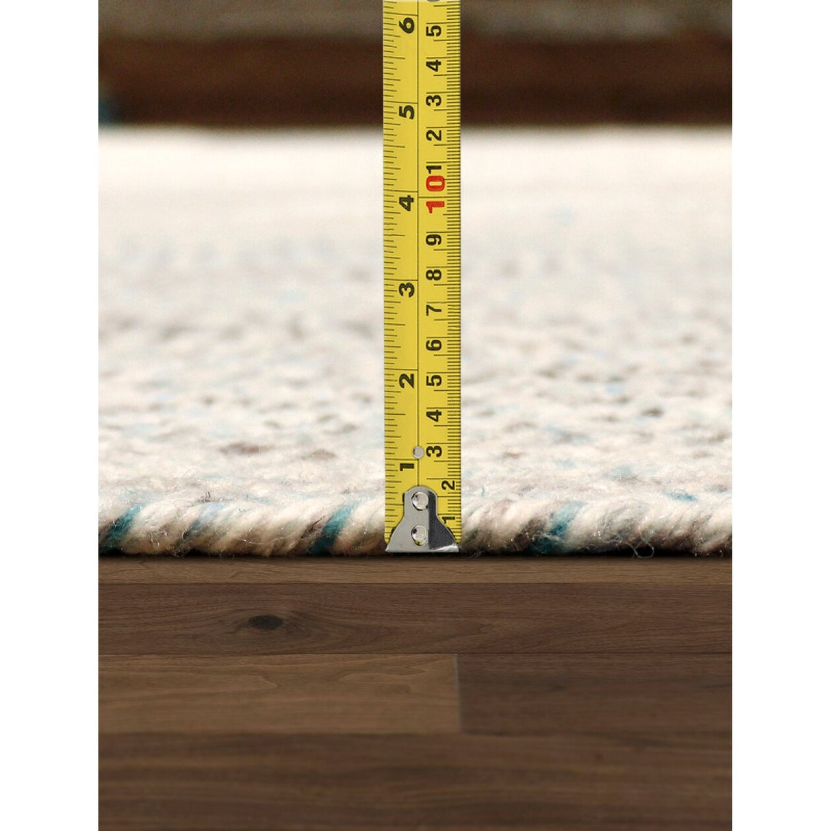 Pasargad Home Lagos Braided Indoor/Outdoor Area Rug