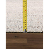 Pasargad Home Lagos Braided Indoor/Outdoor Area Rug