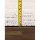 Pasargad Home Lagos Braided Indoor/Outdoor Area Rug