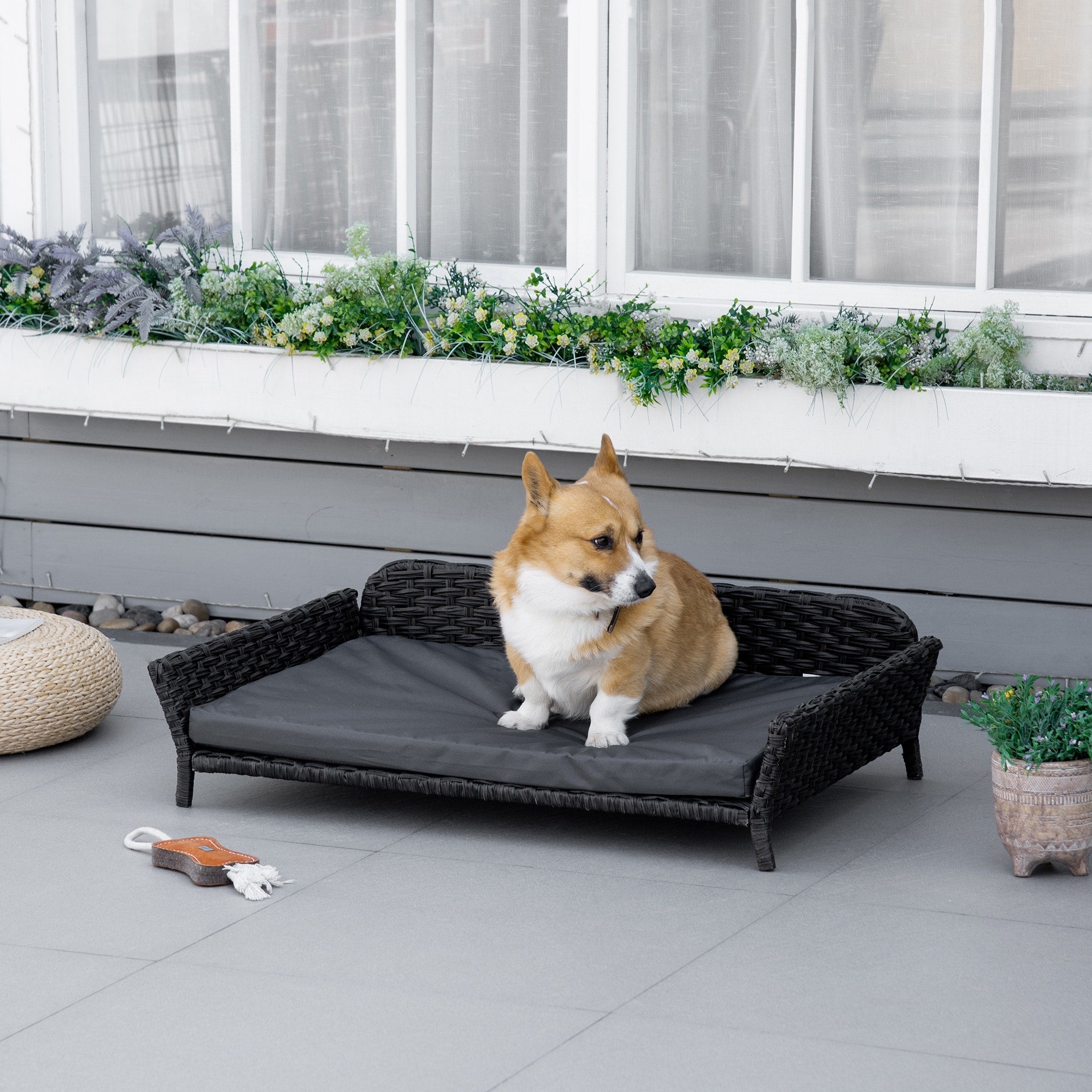 PawHut Rattan Dog Sofa Wicker Pet Bed Raised Cat Couch with Steel F Overstock