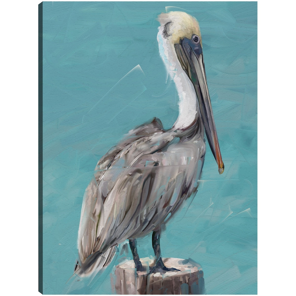 Pelican Perch I By Studio Arts Canvas Art Print