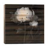 Peonies III, B&W Print On Wood by Magda Indigo - Multi-Color