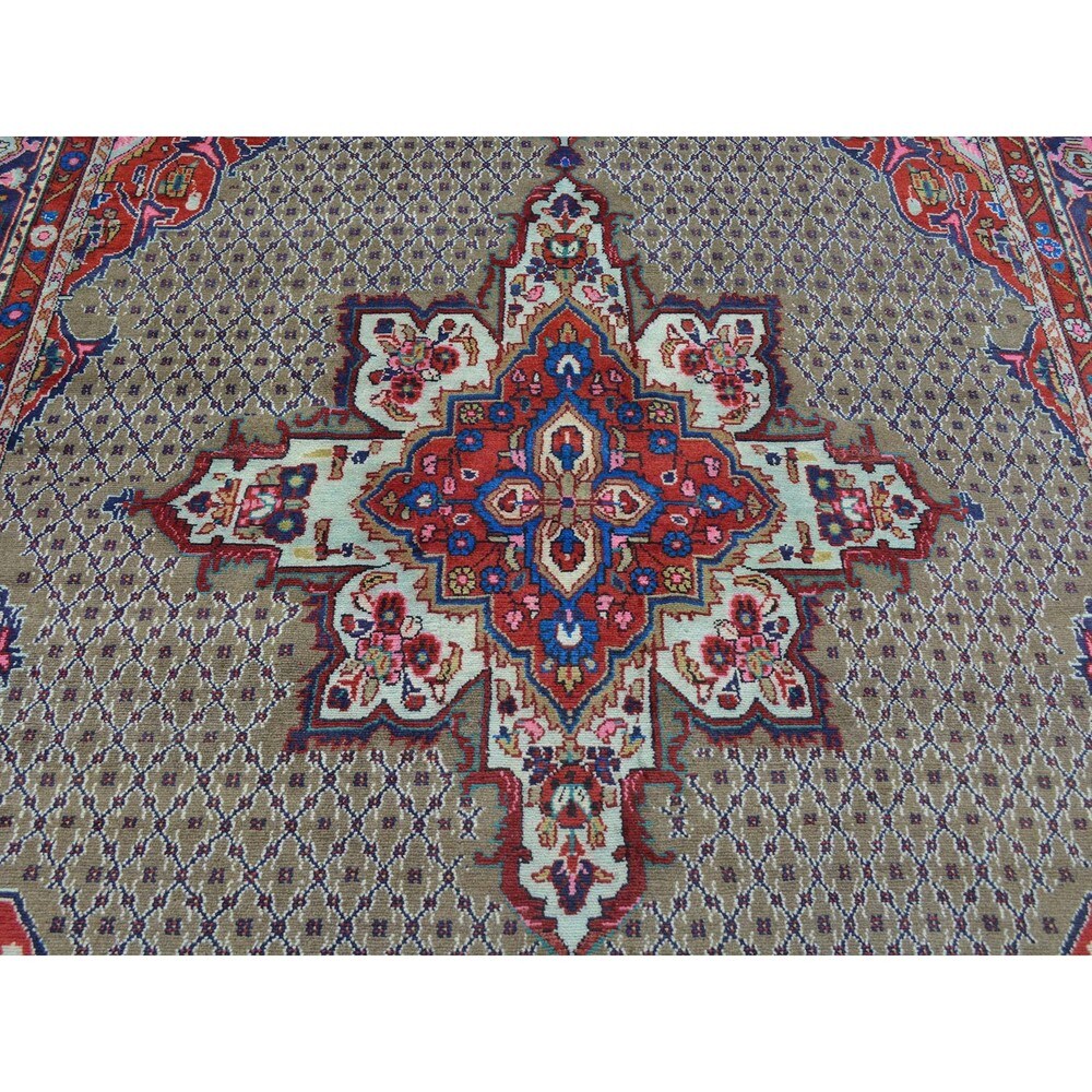Persian Hamadan Camel Hair Wool Hand Knotted Oriental Rug