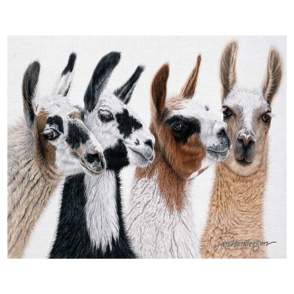 Fine Art canvas Peruvian Visitors Llamas By Jan Henderson Canvas Art Print