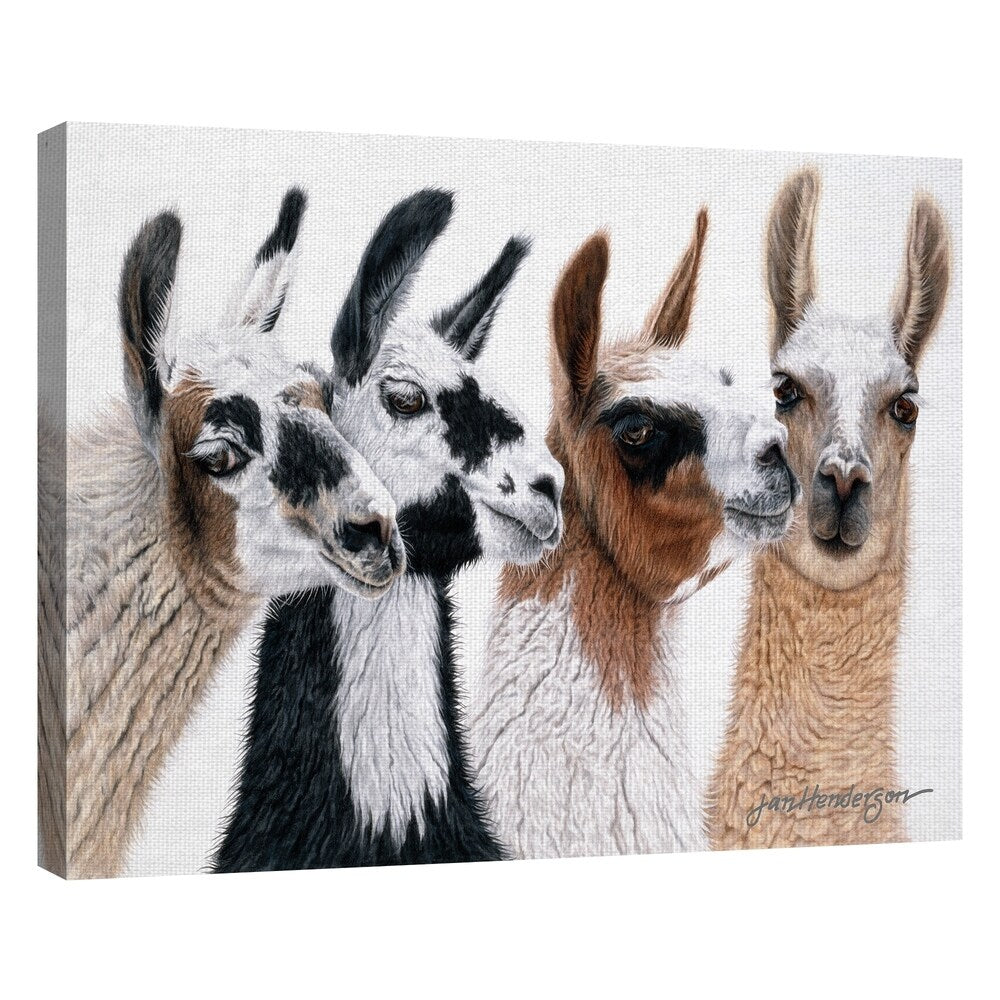 Fine Art canvas Peruvian Visitors Llamas By Jan Henderson Canvas Art Print