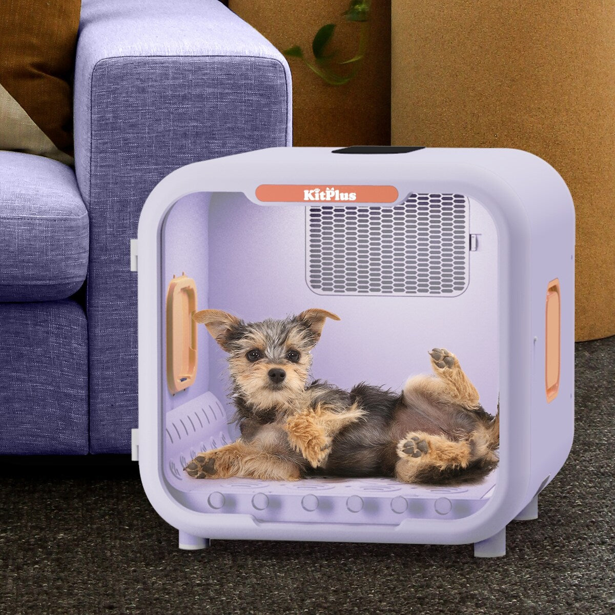 Pet Hair Dryer Box Ultra Quiet 6L Capacity for Cats and Small Dogs