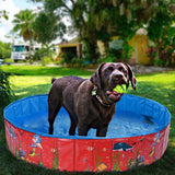 Pet Pool Foldable Pet Swimming Pool Portable Pet Swimming Pool in Blue