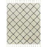 Petre Moroccan Shag Area Rug
