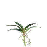 Large 14-inch Phalaenopsis Orchid Fol (Pack of 6)